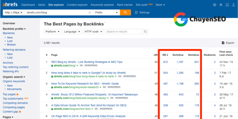 audit backlink