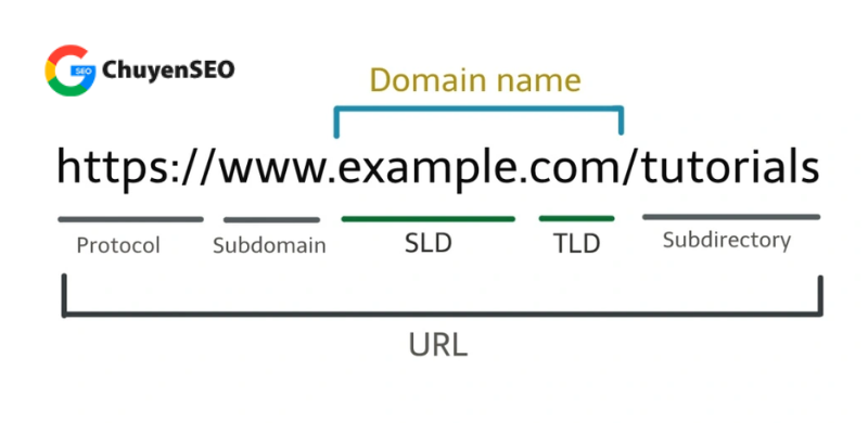 Cấu trúc domain